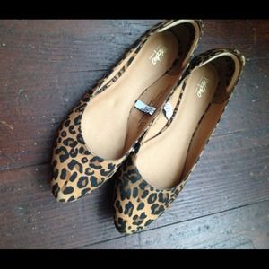 Studded, leopard flats
