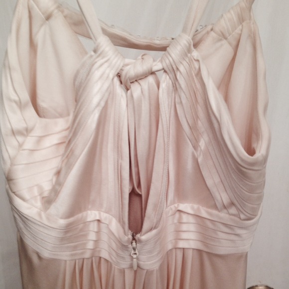 BCBG champagne dress - Picture 3 of 4