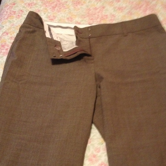 Express light brown Editor pants