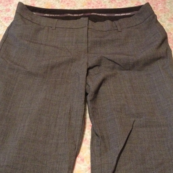 Gray express editor pants