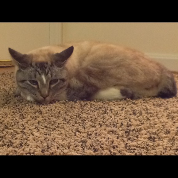 Mario - Picture 3 of 4