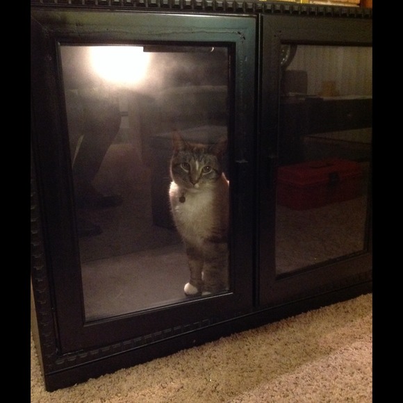 Mario - Picture 2 of 4