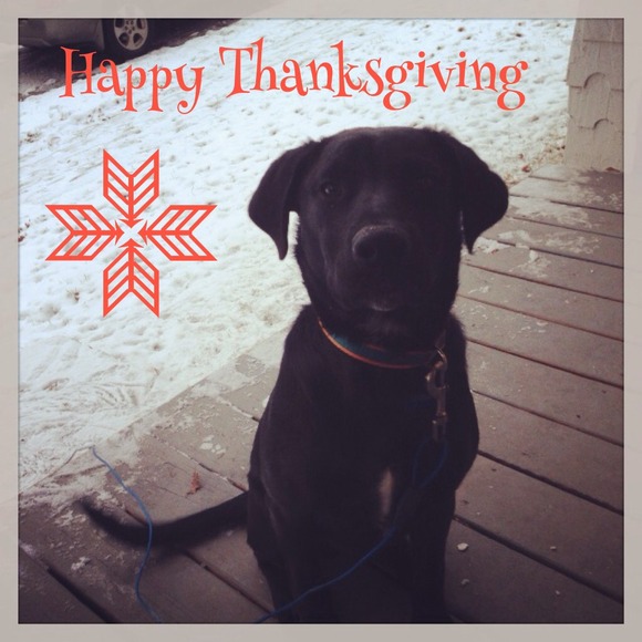 Mosby & I wish you all a happy Thanksgiving 🍁