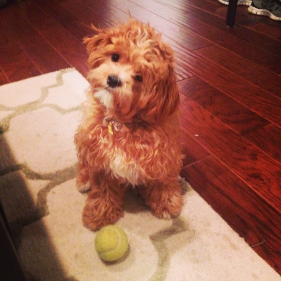 Meet me! - Picture 3 of 5