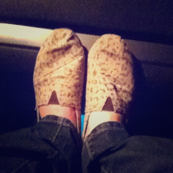 TOMS