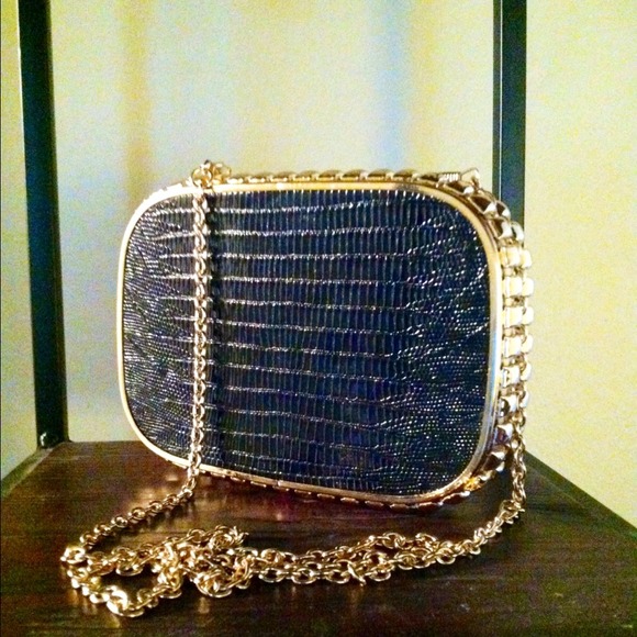 Clutch/ Purse