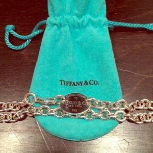 🎁SALE🎁 Tiffany & Co. Dog Chain Necklace