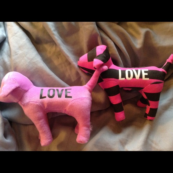 V.s dogs