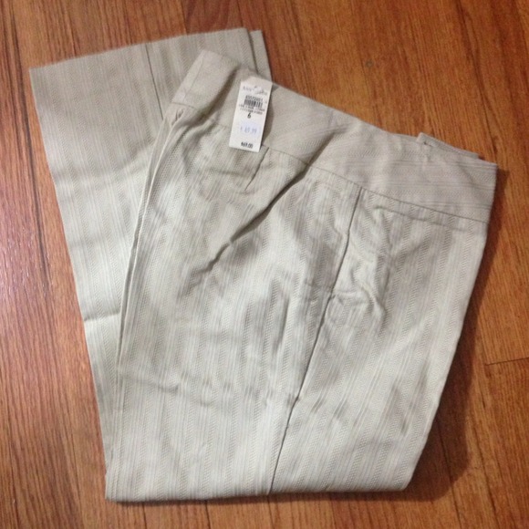 Ann Taylor Capri Pants