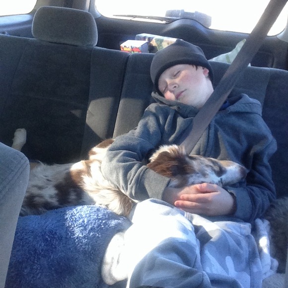 !!¡¡Introduction..... - Picture 3 of 3