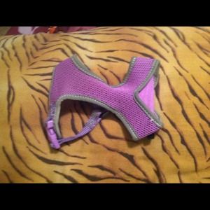 🌟Purple leash🌟