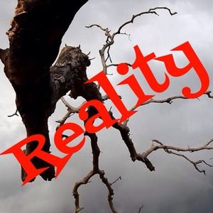 Reality CHECK! :)