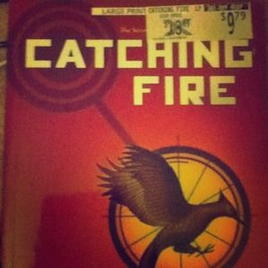 Catching fire book