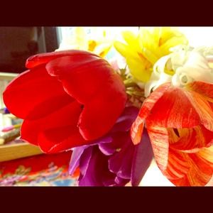 ALL JEWELRY: BUY 3 OR MORE = FREE SHIPPING