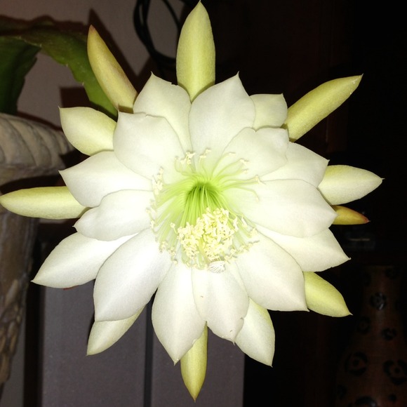 💖Bed time💖 - Picture 3 of 4