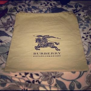 NEW clean Burberry dust bag