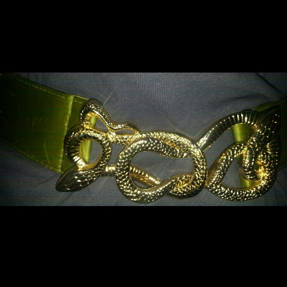 Snake intervonnected stretcy belt