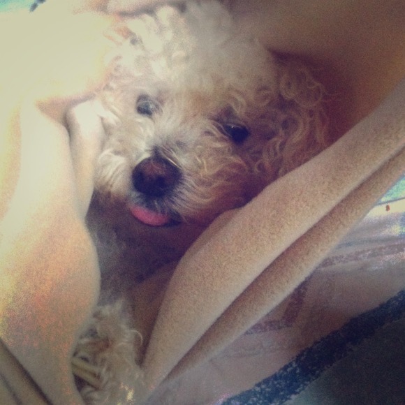 Holly says "LETS BUNDLE!"💕💖