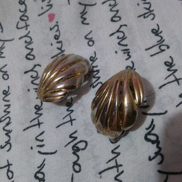 Sea Shell
