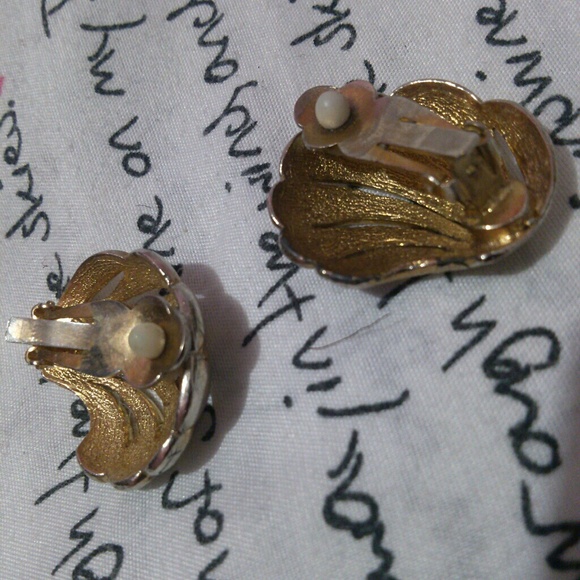 Sea Shell - Picture 2 of 2