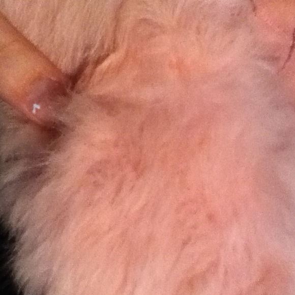 Pink jacket - Picture 5 of 5