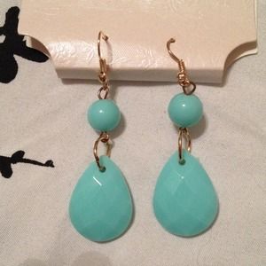 🎉SOLD🎉Brand new earrings