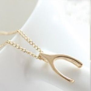 Wishbone Necklace
