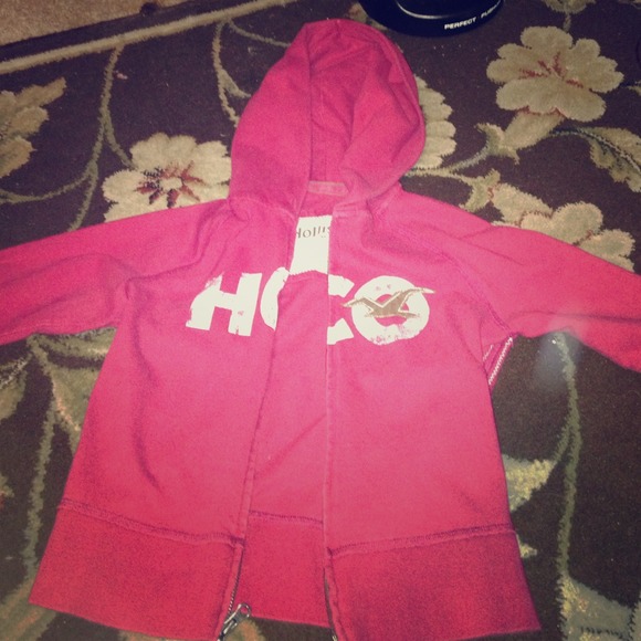 Cropped Hollister Hoodie☺️