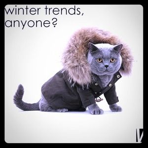 Great Prices ! Open to reasonable offers ! ✨✨✨