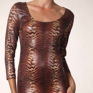 Tiger Print Dress