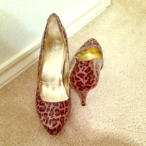 Animal print shoes