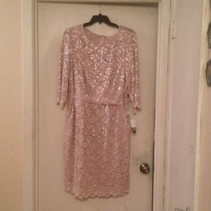 NWT-lace dress by Alex Evenings size 22