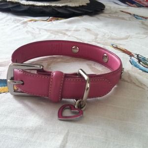 Coach dog collar