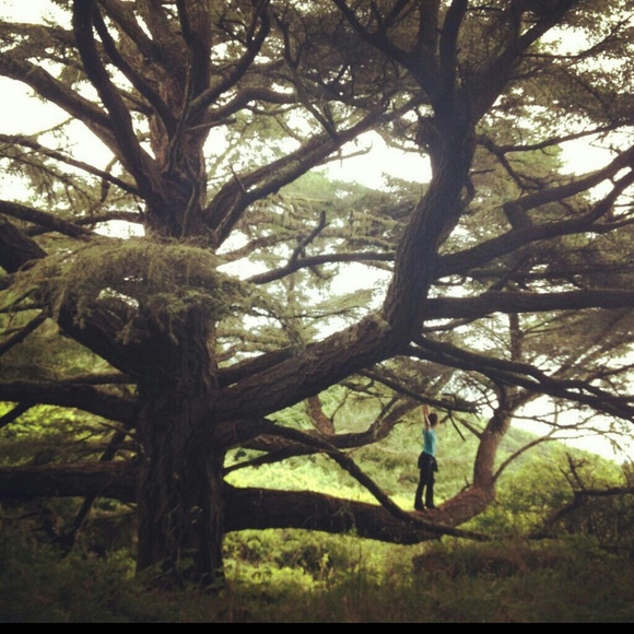 My poshosophie / feedback page! - Picture 2 of 4