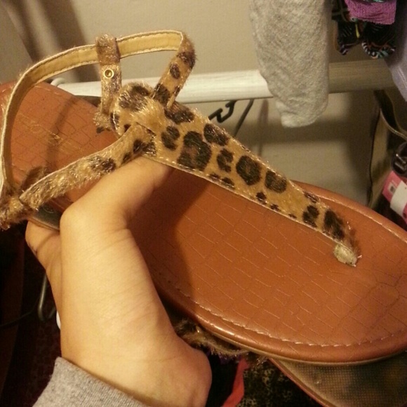 Cheetah sandals