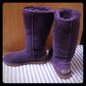 Plum tall UGGS.