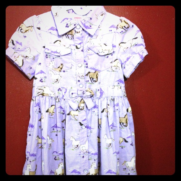 Baby girl country dress in size 2 from Gymboree