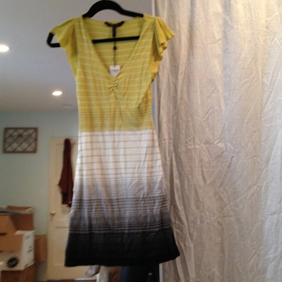 SOLD🚫BCBG Flutter Sleeved striped dress SZ XS NWT