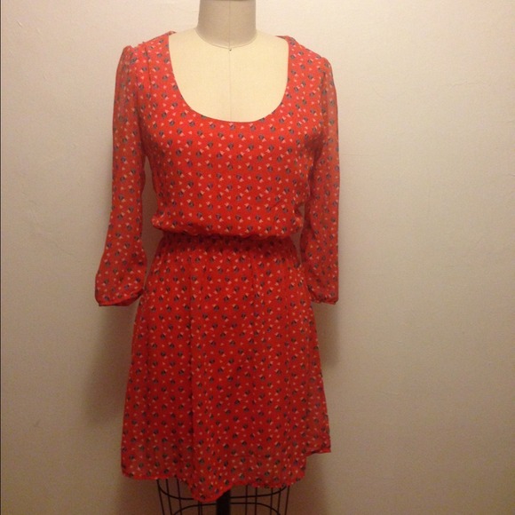 BUNDLE Owl Over Again & Cat Dress