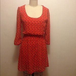 BUNDLE Owl Over Again & Cat Dress