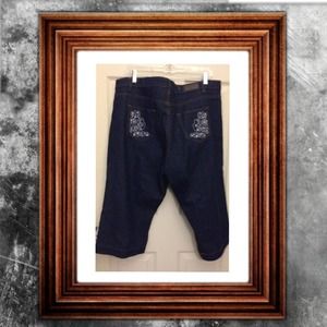 american eagle plus size jeans size 20 12