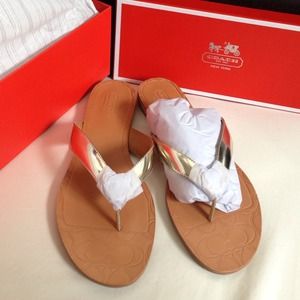 Metallic Coach Sandals