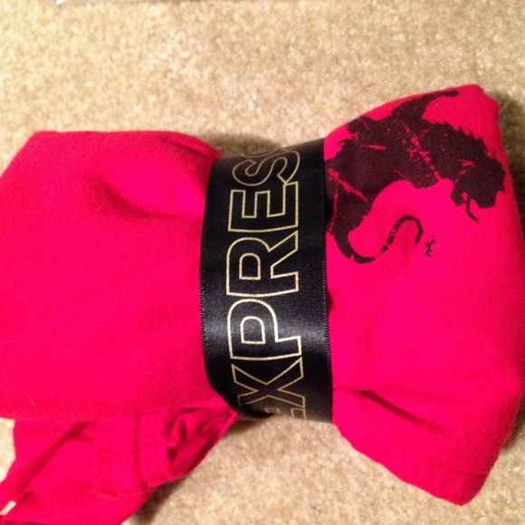 Express Pants - SALE! Express Light weight flannel lounge pants