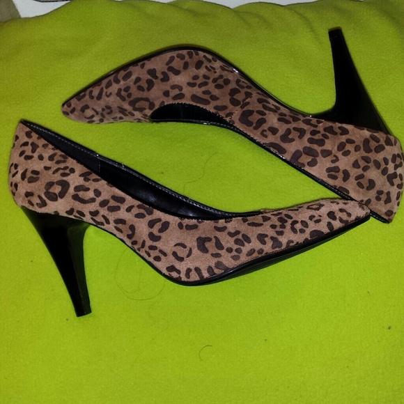 Leopard - Picture 2 of 4