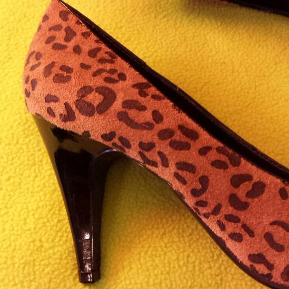 Leopard - Picture 3 of 4