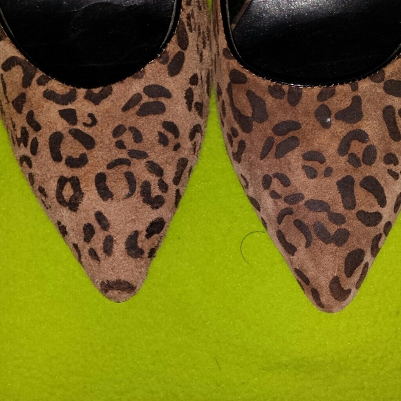 Leopard - Picture 4 of 4