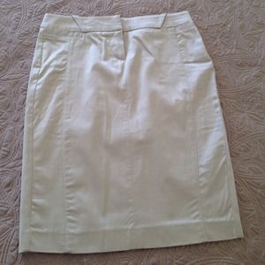 Satin Skirt