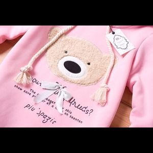 🌟REDUCED🌟BRAND New Cutest Tunic Bear Sweater🌟