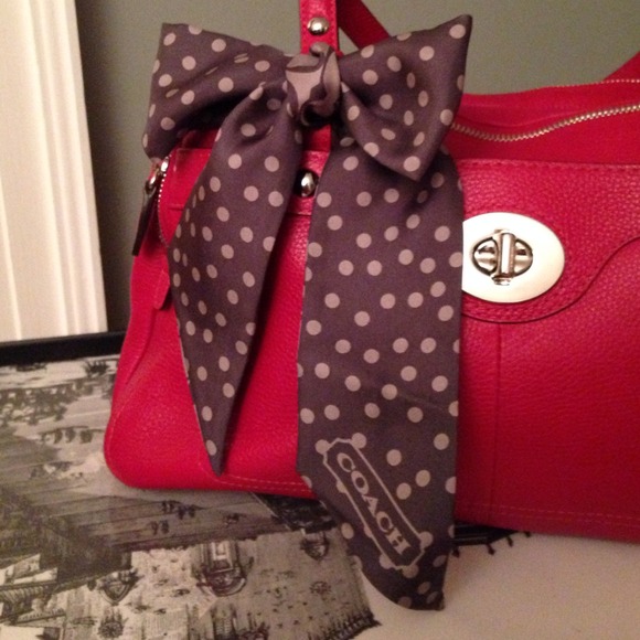 Coach Grey Silk Ribbon: BUNDLED - Picture 2 of 3