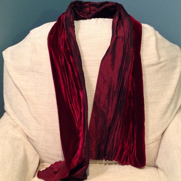Accessories - ⏳Hold for Leah⌛️Red Velvet Scarf